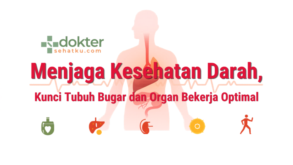 Menjaga Kesehatan Darah, Kunci Tubuh Bugar dan Organ Bekerja Optimal