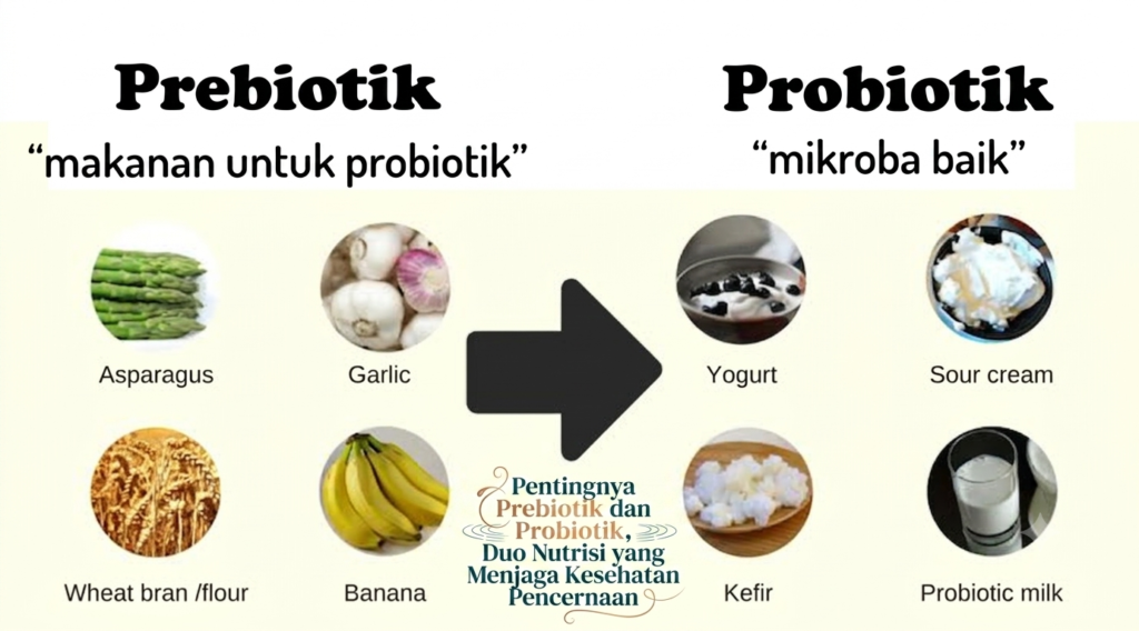 Pentingnya Prebiotik dan Probiotik, Duo Nutrisi yang Menjaga Kesehatan Pencernaan